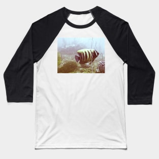 SIX BANDED ANGELFISH Baseball T-Shirt